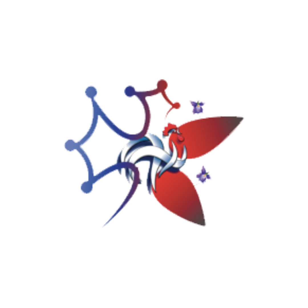 District Haute-Garonne de Football