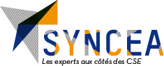 Groupe Syncea — Kapea Holding